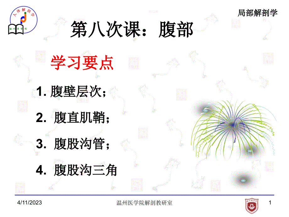 腹壁局部解剖学课件