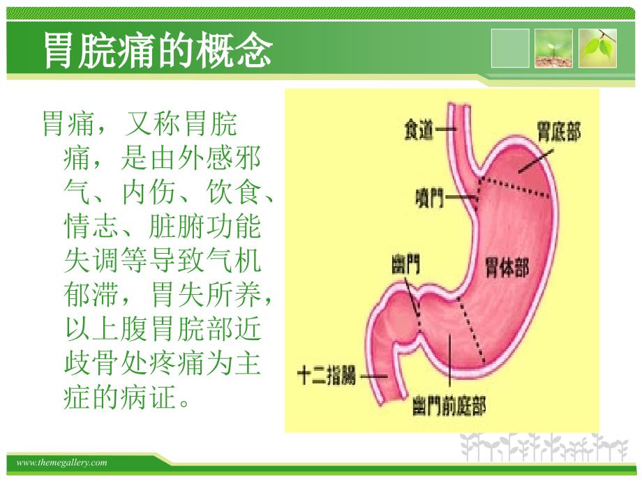 胃脘痛中医护理查房