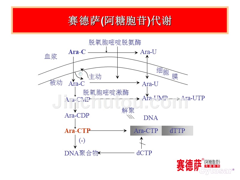 赛德萨产品知识deflate