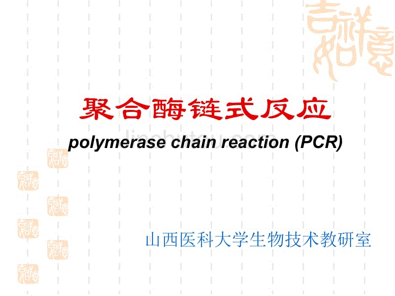 pcr聚合酶链式反应-资源下载-金锄头文库