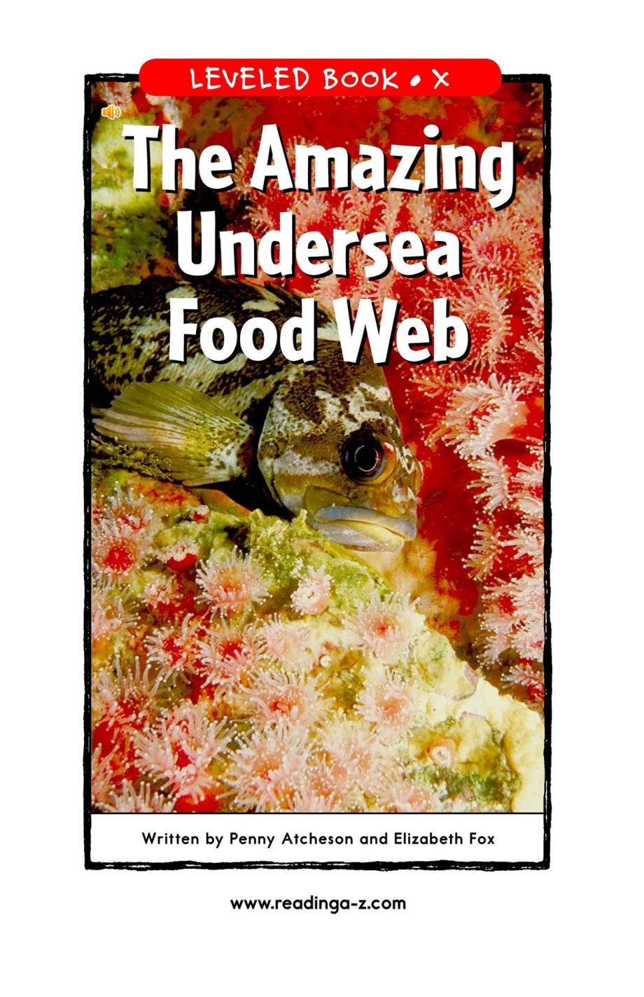 英语阅读读本-the amazing undersea food web