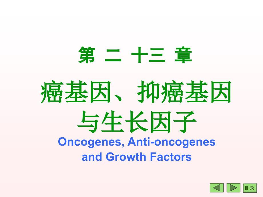癌基因、抑癌基因与生长因子 Oncogenes, Anti-oncogenes and Growth Factors