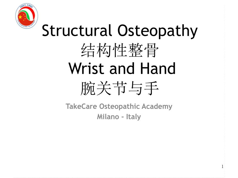 Wrist & Hand中英文－整骨培訓課件