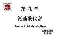 氨基酸代谢(改)Amino Acid Metabolism
