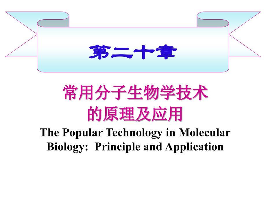 常用分子生物学技术的原理及应用（改）