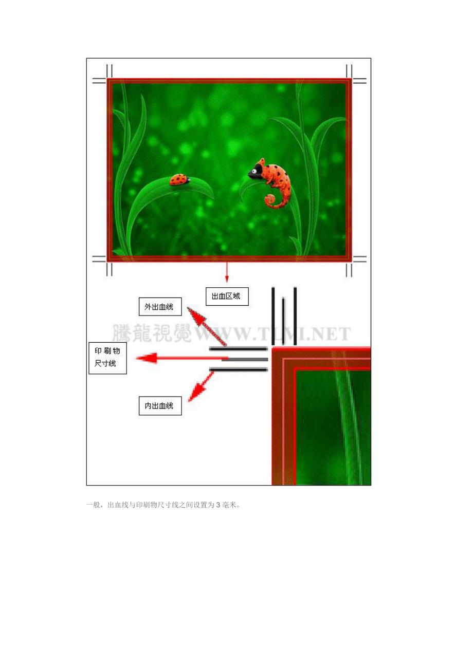 印刷知識詳解出血線