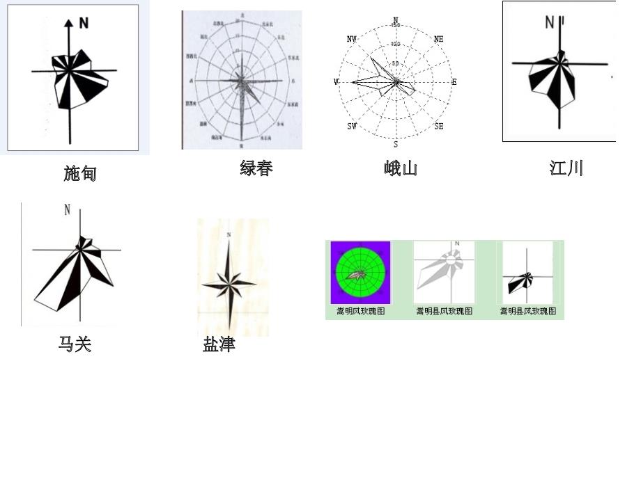 雲南省各地區風玫瑰圖