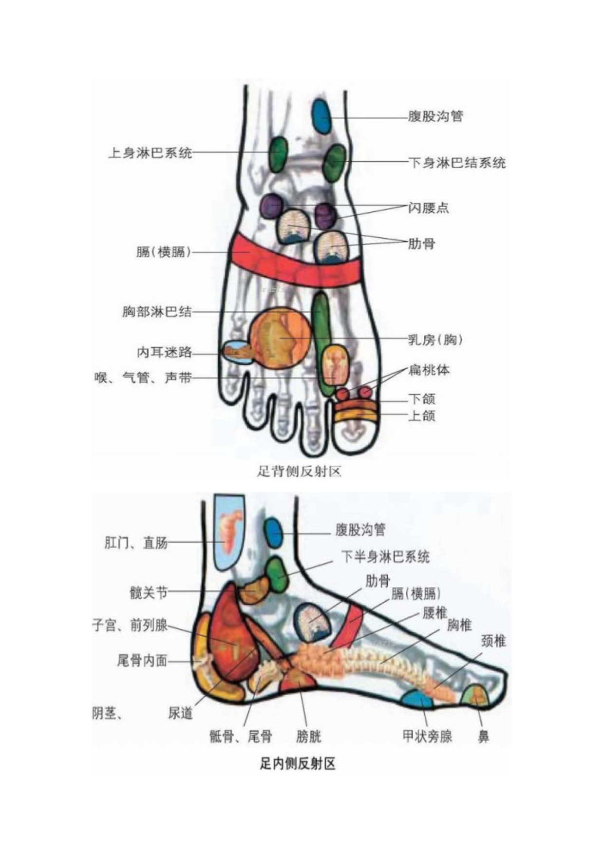 左脚踝有痣图解图片