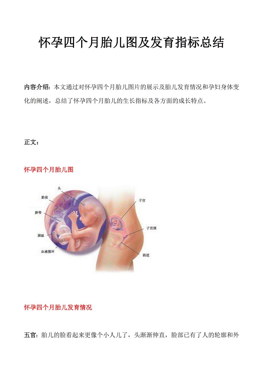 怀孕四个月胎儿图及发育指标总结