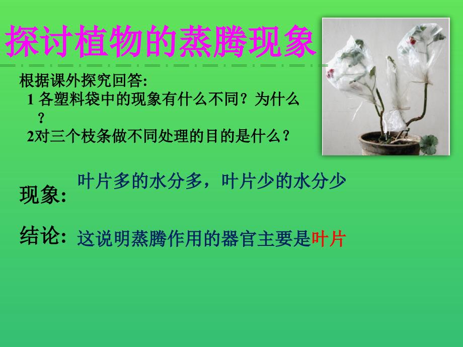 第二單元12綠色植物的蒸騰作用