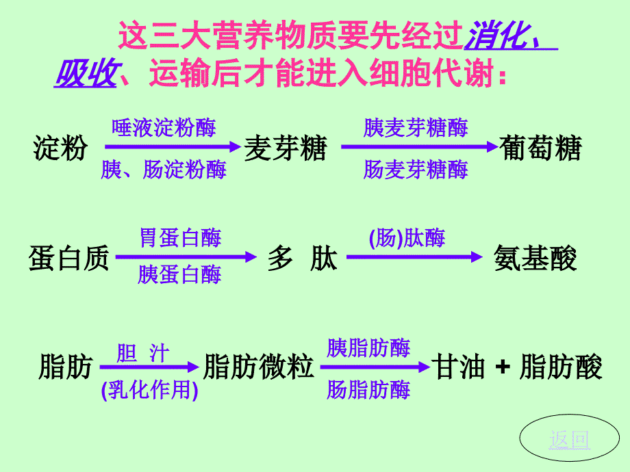 新陈代谢周期图片