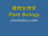植物生物学课件