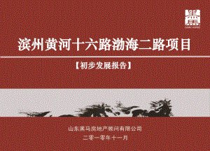 滨州黄河十六路渤海二路项目初步发展报告(终稿)
